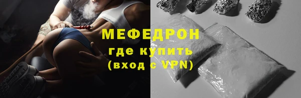 мдпв Верея