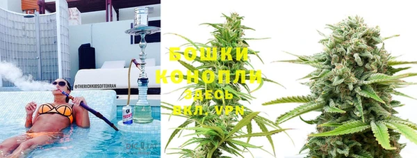 мдпв Верея
