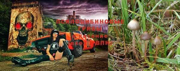 мдпв Верея
