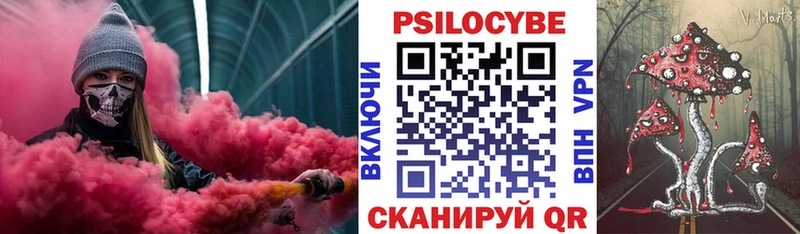 Псилоцибиновые грибы Psilocybine cubensis Сургут